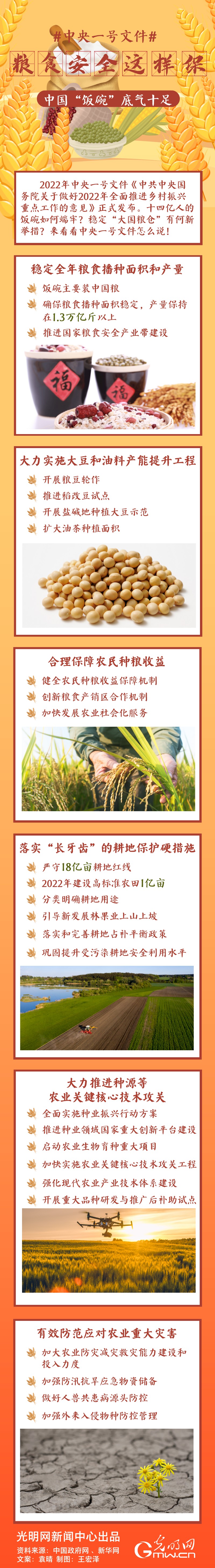 中央一號文件｜糧食安全這樣保，中國“飯碗”底氣十足