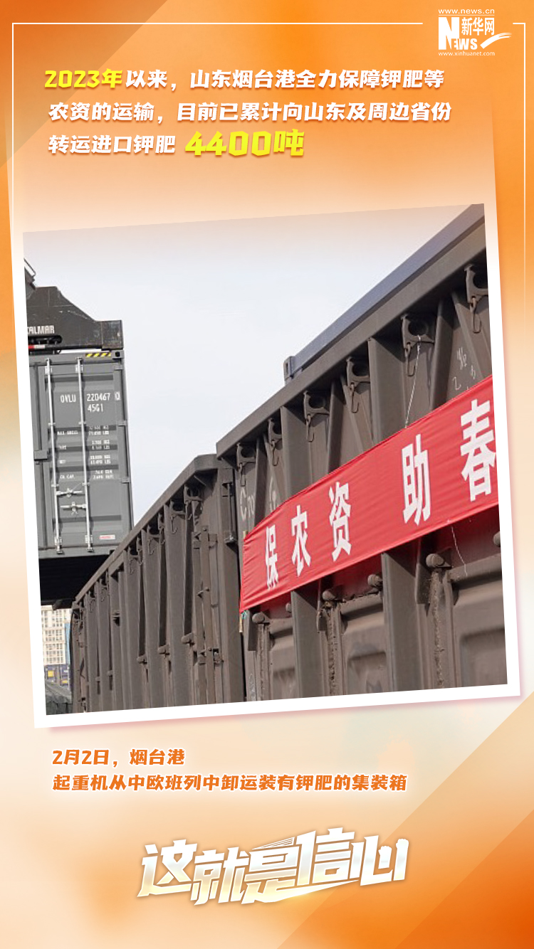 這就是信心｜實(shí)干爭春早，外貿(mào)樞紐貨運(yùn)忙