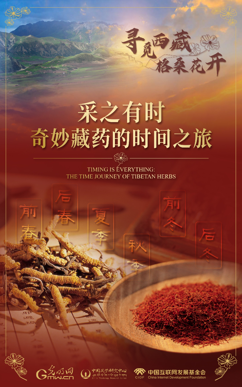 【尋覓西藏·格?；ㄩ_】采之有時(shí)：奇妙藏藥的時(shí)間之旅