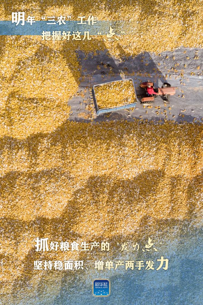 明年“三農(nóng)”工作，這幾個(gè)“點(diǎn)”要把握好