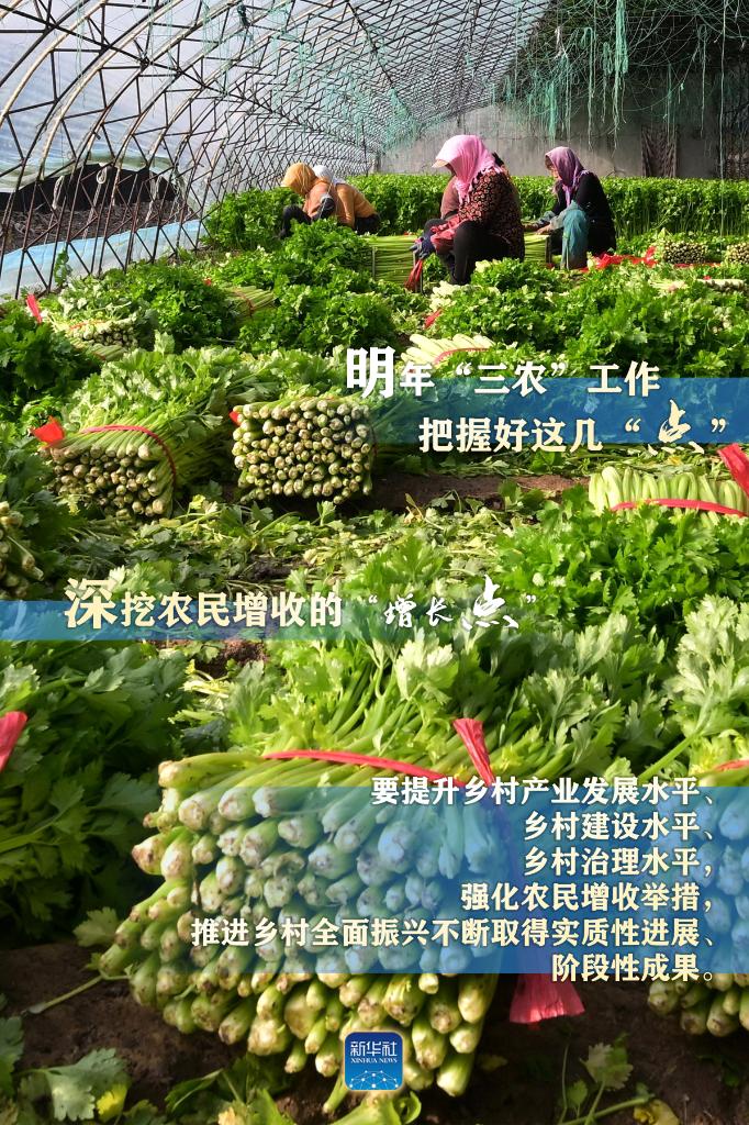 明年“三農(nóng)”工作，這幾個(gè)“點(diǎn)”要把握好