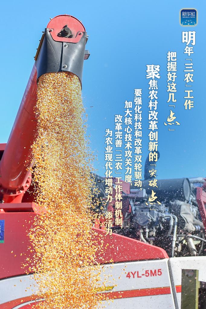 明年“三農(nóng)”工作，這幾個(gè)“點(diǎn)”要把握好