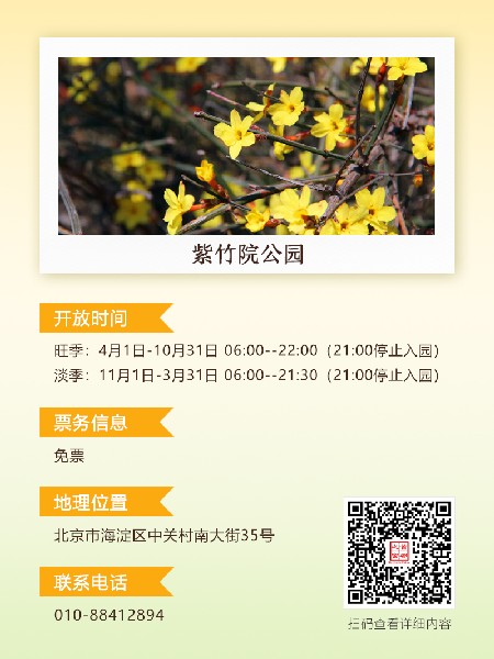 追花指南第二期！京城三月里最撩人的玉蘭觀賞地