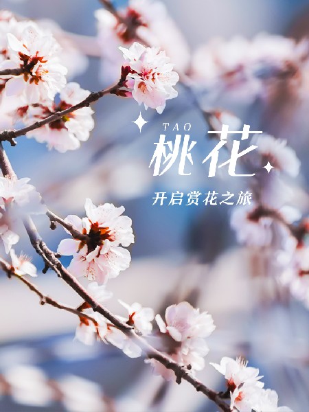 追花指南第三期！別等了 今天就去和桃花撞個(gè)滿(mǎn)懷