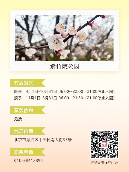 追花指南第六期！杏花雨 楊柳風(fēng) 北京最美的杏花在這里