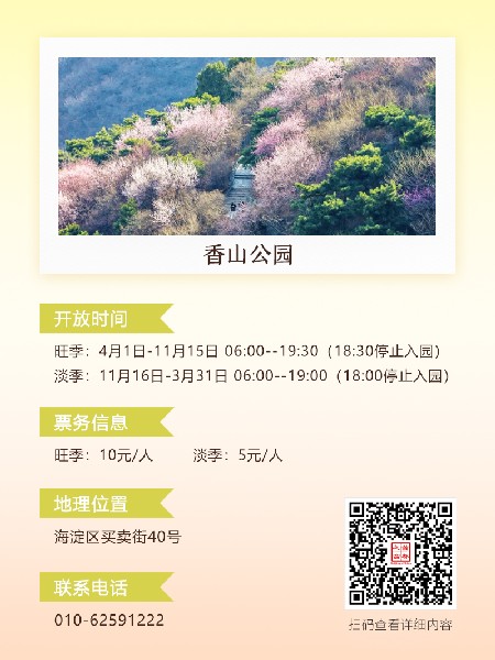 追花指南第六期！杏花雨 楊柳風(fēng) 北京最美的杏花在這里