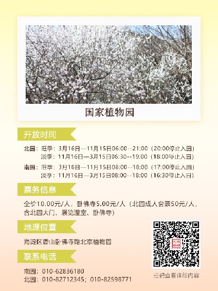 追花指南第六期！杏花雨 楊柳風(fēng) 北京最美的杏花在這里