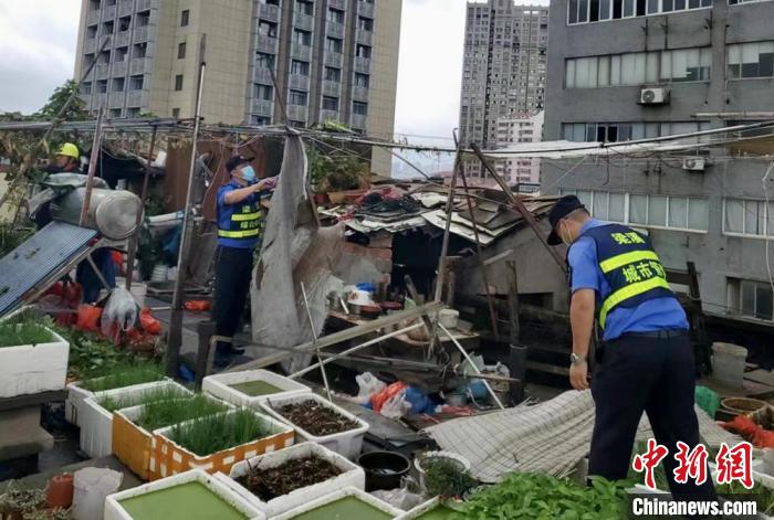 在一處居民樓屋頂，城管隊(duì)員拆除“空中菜園”?！〗疖?攝