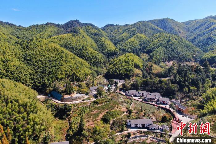 航拍江西井岡山市神山村，青山環(huán)繞，風(fēng)景秀美。　劉力鑫 攝