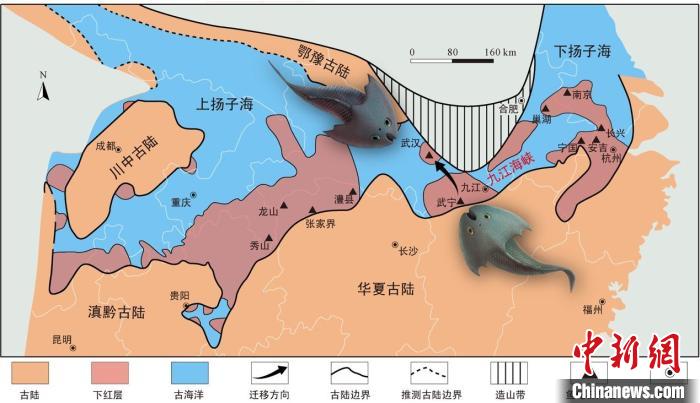 華南地區(qū)志留紀(jì)早期古地理圖和盔甲魚(yú)類化石產(chǎn)地(山顯任改自陳旭、戎嘉余，1996；戎嘉余等，2012) 中科院古脊椎所 供圖
