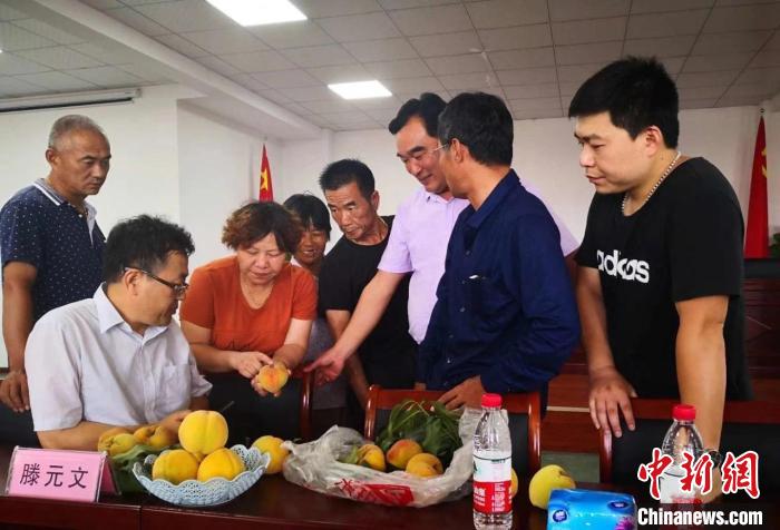 民進浙江省委會為三里橋黃桃種植戶送技術(shù)、送指導(dǎo)?！〖紊平y(tǒng)戰(zhàn) 供圖
