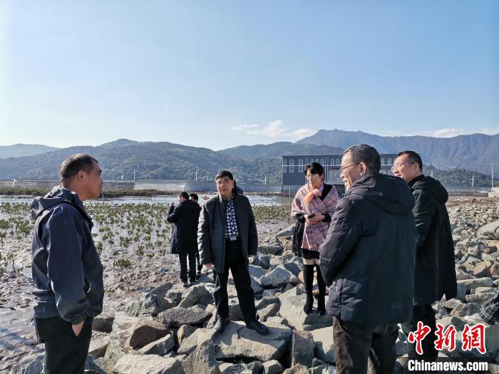 浙江海洋生態(tài)觀察：智慧大腦如何解鎖藍色發(fā)展密碼？