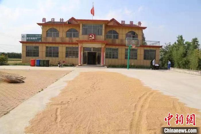 農(nóng)民在邳莊鎮(zhèn)尚莊村黨群服務(wù)中心大院里曬糧?！≠Z萌 攝