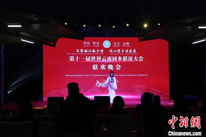 圖為第十一屆世界云南同鄉(xiāng)聯(lián)誼大會(huì)舉辦聯(lián)歡晚會(huì)?！〈抻澜?攝