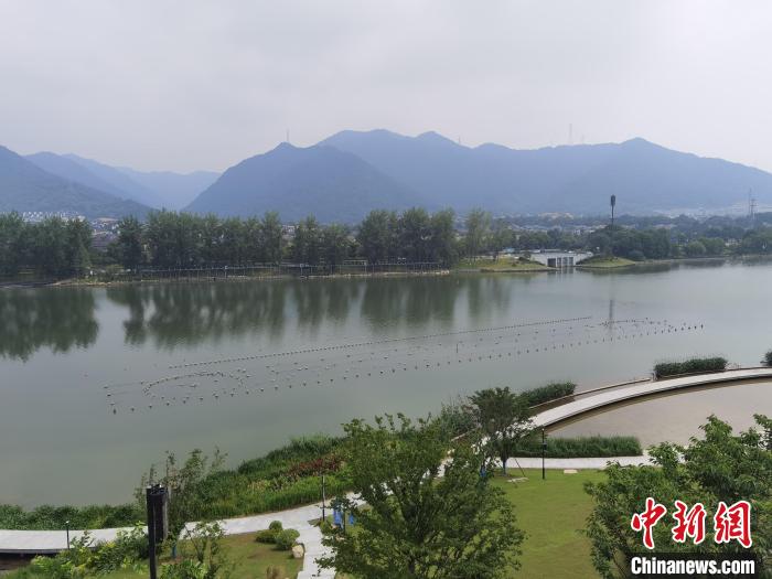 兩岸媒體共探杭州亞運會“綠”在何處？