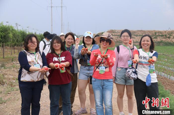圖為臺胞體驗大美內(nèi)蒙古?！⊥袐I供圖