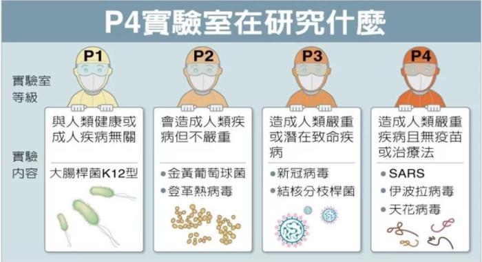 P4實驗室在研究什么。臺灣聯(lián)合新聞網(wǎng)資料圖