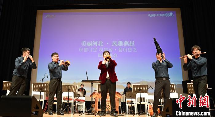 圖為音樂會現場?！∈谞栔袊幕行墓﹫D