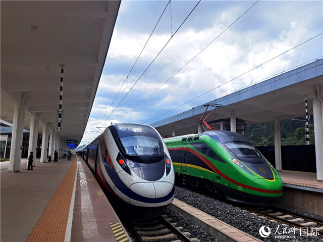 “復(fù)興號”和“瀾滄號”國際旅客列車?？吭诶蠐肽ザ≌?。人民網(wǎng) 杜明明攝