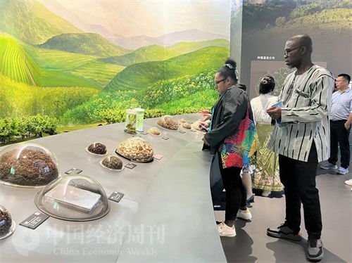   （在中國藥都中醫(yī)藥博物館，外媒記者了解中醫(yī)藥發(fā)展史。中國經(jīng)濟周刊記者 郭志強 攝）