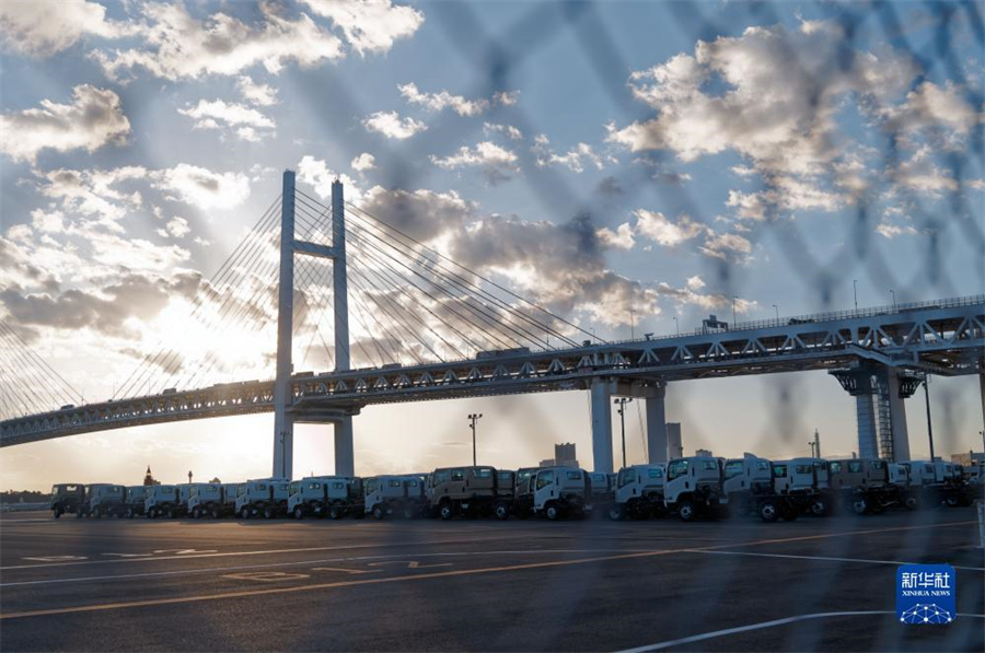 這是11月14日在日本橫濱拍攝的進出口汽車集散場地。新華社記者 張笑宇 攝