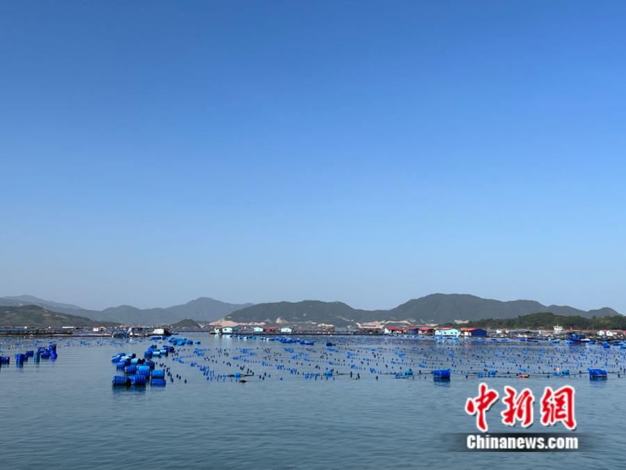 霞浦縣海上魚排。<a target='_blank' href='/' ><p  align=