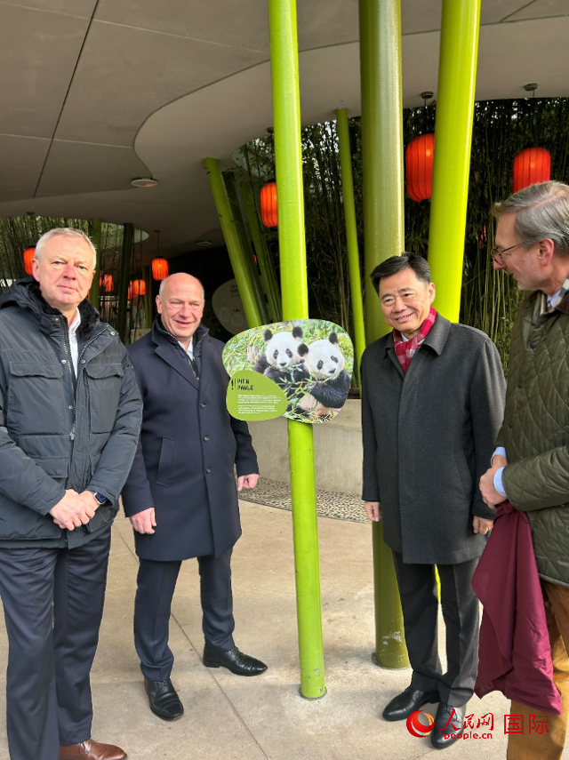 中國(guó)駐德國(guó)大使吳懇（右二）、柏林市長(zhǎng)韋格納（左二）、動(dòng)物園園長(zhǎng)克尼里姆（右一）和監(jiān)事會(huì)主席布魯克曼（左一）共同為“夢(mèng)想”“夢(mèng)圓”大熊貓紀(jì)念牌揭幕。人民網(wǎng)記者 徐馨攝