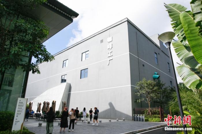 圖為采訪團一行參觀咖啡工廠。 曹淼欣 攝