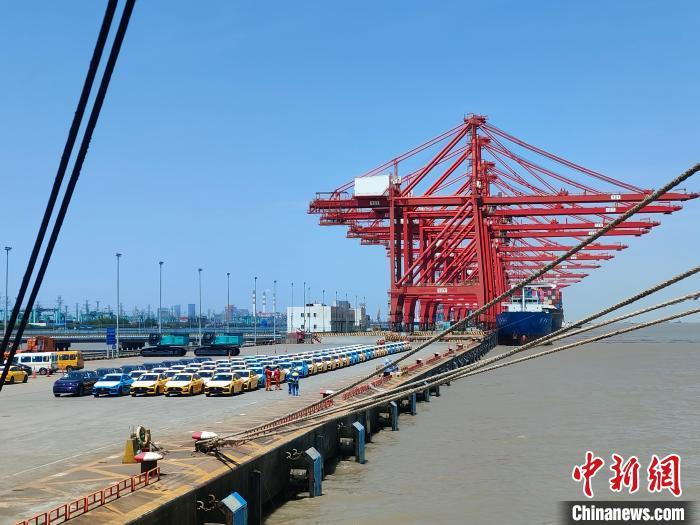 資料圖：國產(chǎn)新能源車在上海外高橋港區(qū)海通碼頭“整裝待發(fā)”。　浦帆 攝