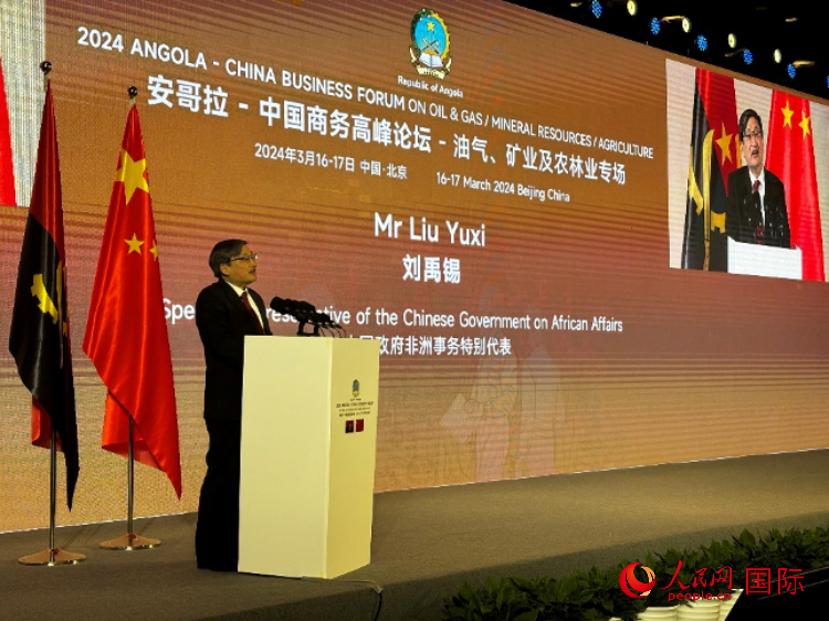 中國政府非洲事務(wù)特別代表劉禹錫。人民網(wǎng)記者 張榮攝