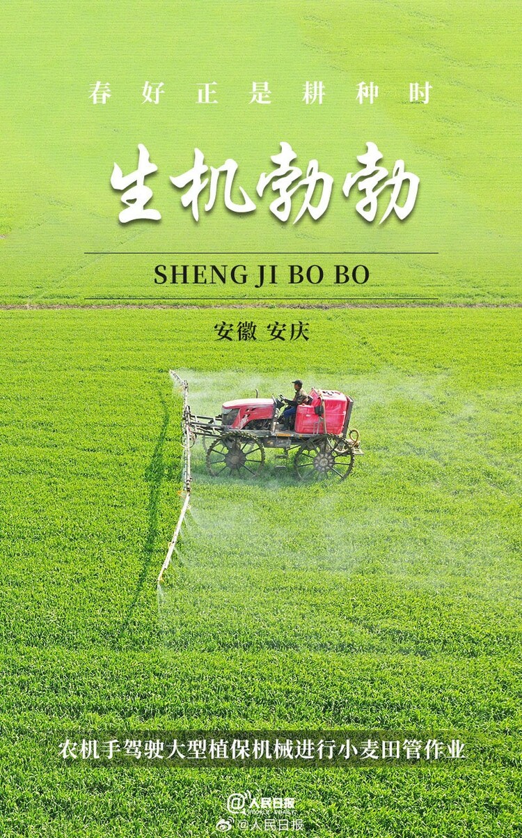 生機盎然！用課本封面打開春耕畫卷