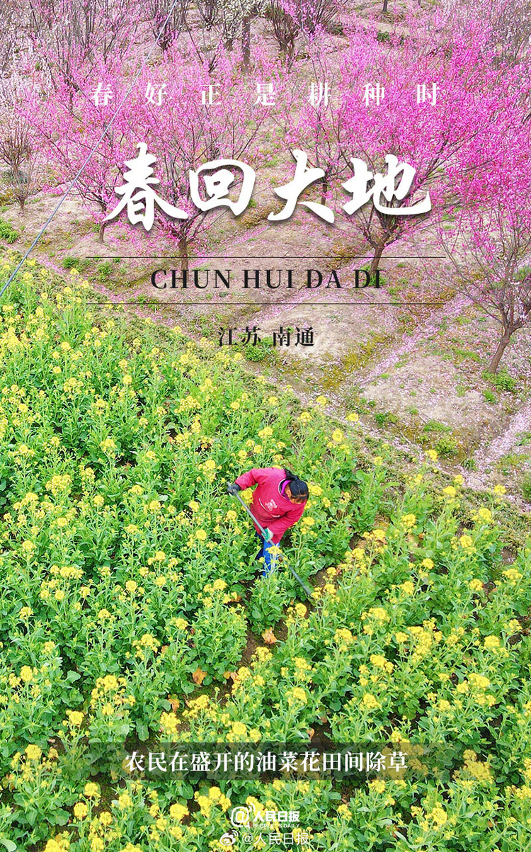 生機盎然！用課本封面打開春耕畫卷