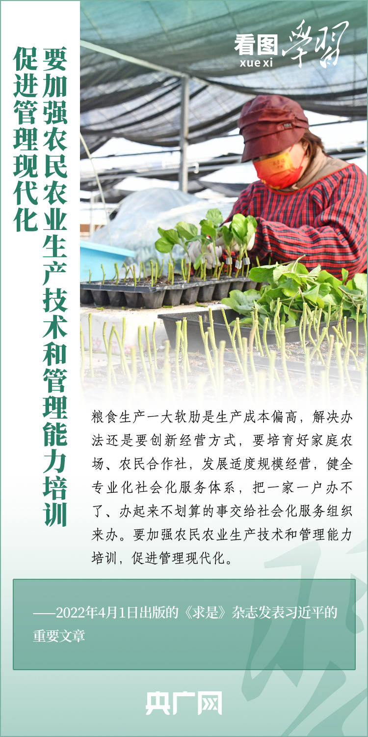 看圖學(xué)習(xí)丨推廣良田、良種、良法、良機(jī) 給農(nóng)業(yè)現(xiàn)代化插上科技的翅膀