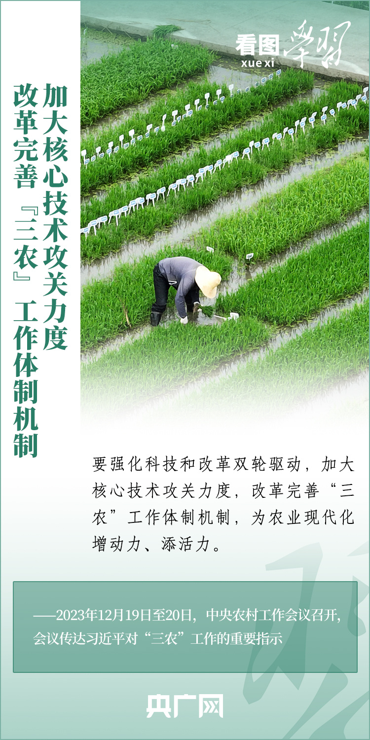 看圖學(xué)習(xí)丨推廣良田、良種、良法、良機(jī) 給農(nóng)業(yè)現(xiàn)代化插上科技的翅膀