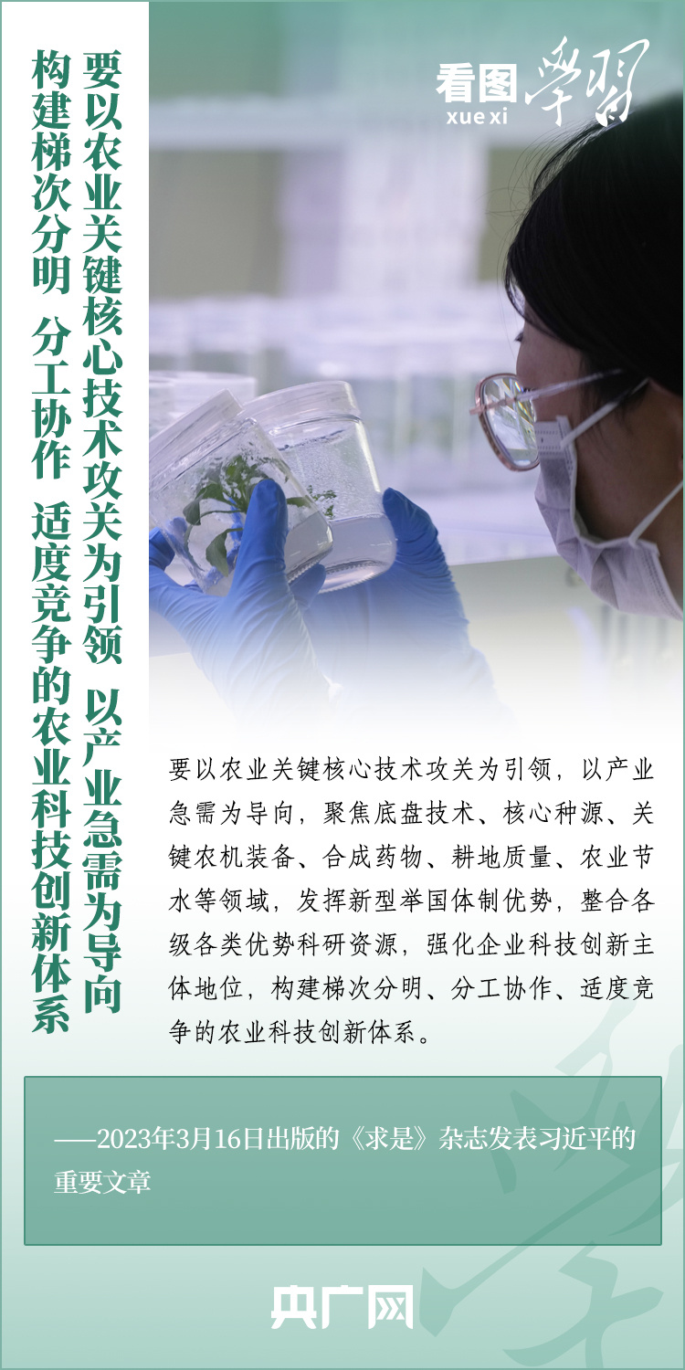 看圖學(xué)習(xí)丨推廣良田、良種、良法、良機(jī) 給農(nóng)業(yè)現(xiàn)代化插上科技的翅膀