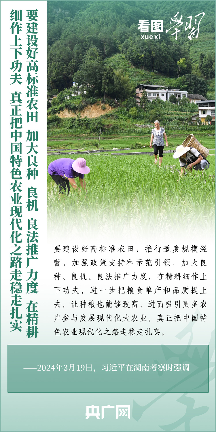 看圖學(xué)習(xí)丨推廣良田、良種、良法、良機(jī) 給農(nóng)業(yè)現(xiàn)代化插上科技的翅膀