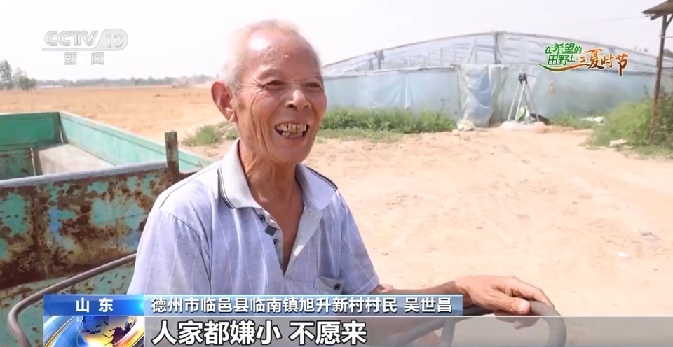 “三夏”生產(chǎn)思維導(dǎo)圖安排上了！還有政府大院等你來“曬”