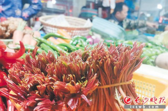　　農貿市場里鮮嫩的香椿?！　【鶠殚L沙晚報全媒體記者 劉捷萍 攝