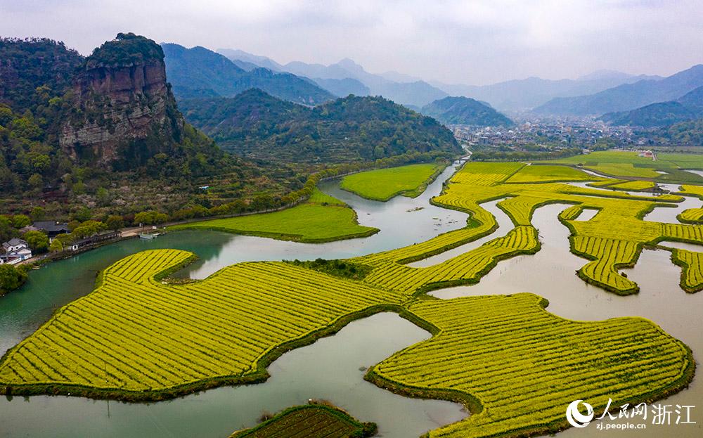3月28日，航拍浙江省臨海市桃渚鎮(zhèn)桃江十三渚盛開的油菜花景色。人民網(wǎng) 章勇濤攝