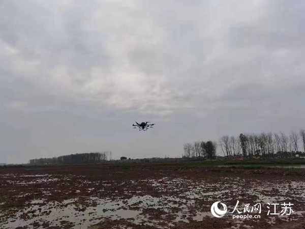 勝利圩高標(biāo)準(zhǔn)農(nóng)田進(jìn)行無人機(jī)水稻播種。陽江鎮(zhèn)供圖