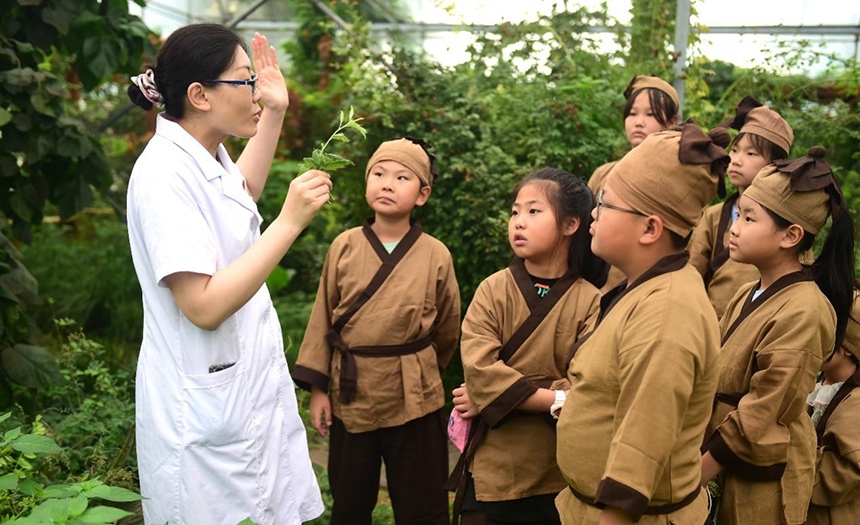 參加活動(dòng)的孩子聆聽滄州市人民醫(yī)院國醫(yī)館中醫(yī)對(duì)中藥材的講解。 傅新春攝