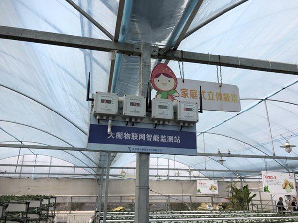 都市四季果園內(nèi)的物聯(lián)網(wǎng)智能監(jiān)測站系統(tǒng)。東?？h委宣傳部供圖