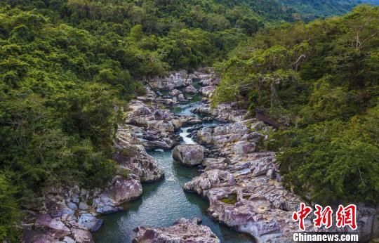 2018年海南生態(tài)環(huán)境狀況等級(jí)為“優(yōu)”，植被覆蓋率高，生物多樣性豐富，生態(tài)系統(tǒng)穩(wěn)定，圖為海南中部熱帶雨林?！●樤骑w　攝