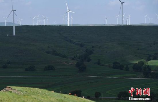 6月28日，河北張家口張北草原上大片風力發(fā)電的“風車”規(guī)模宏大。 中新社記者 楊艷敏 攝