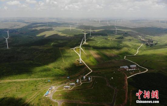 6月28日，河北張家口張北草原上大片風力發(fā)電的“風車”規(guī)模宏大。 中新社記者 楊艷敏 攝