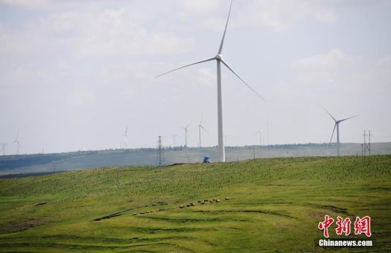 6月28日，河北張家口張北草原上大片風力發(fā)電的“風車”規(guī)模宏大。 中新社記者 楊艷敏 攝