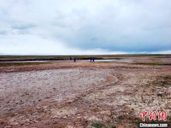 圖為救援力量在青海省西部搜救失聯(lián)的江蘇南京某大學(xué)女生黃某某。海西州藍(lán)天應(yīng)急救援中心 供圖
