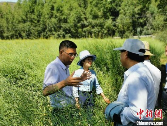 圖為九三學社青海省委主委杜德志(左一)在基層調(diào)研。受訪者供圖