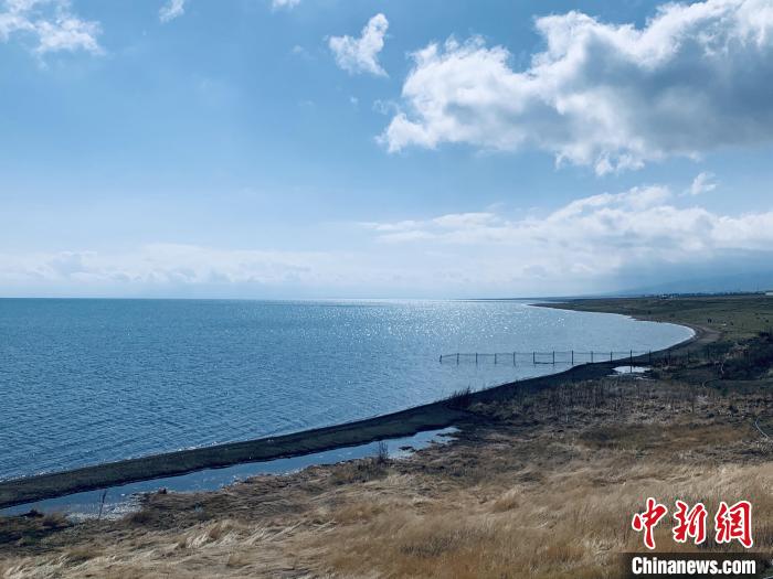 圖為青海湖畔。(資料圖) 張傲 攝