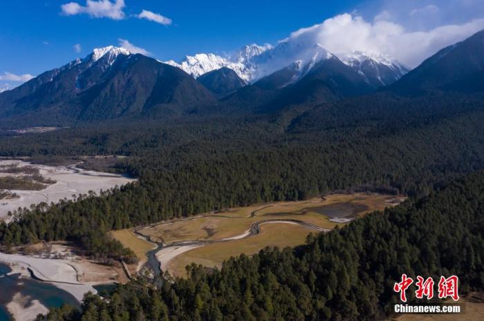 資料圖：西藏崗云杉林與遠處的雪峰。 何蓬磊 攝